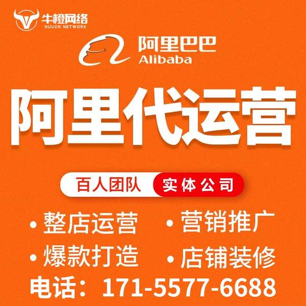 揭阳电商代运营