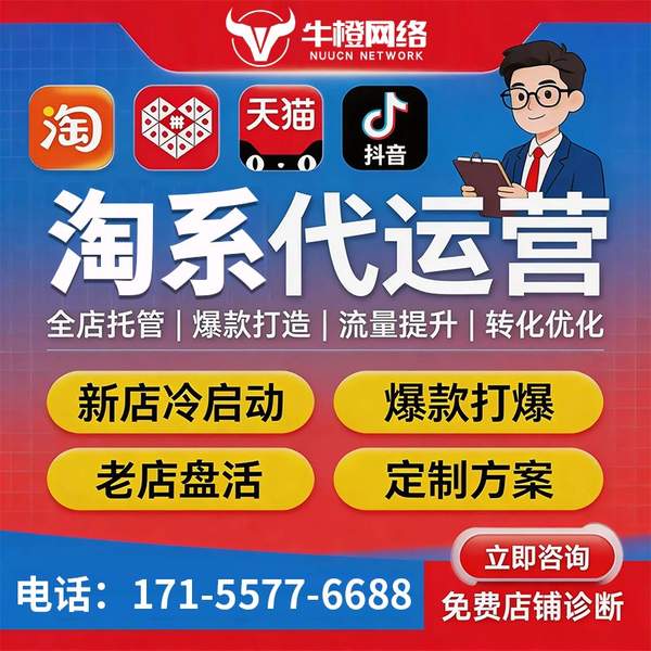 揭阳电商代运营