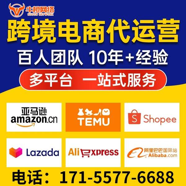 揭阳电商代运营
