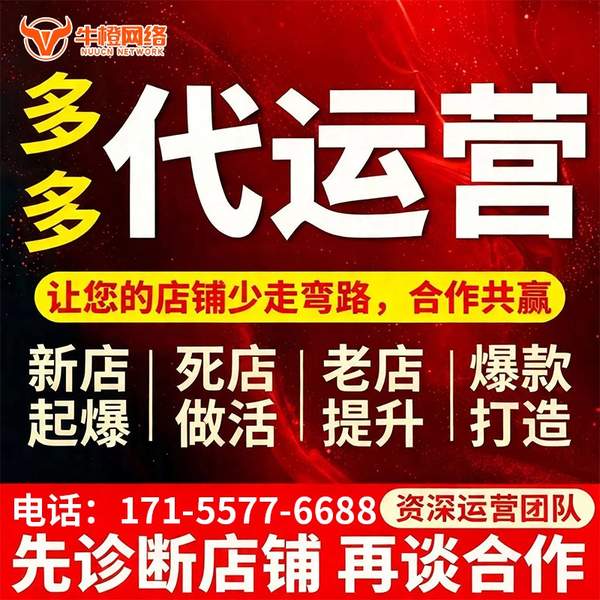 揭阳电商代运营