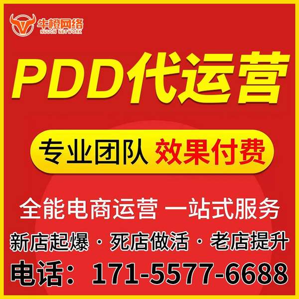 揭阳电商代运营