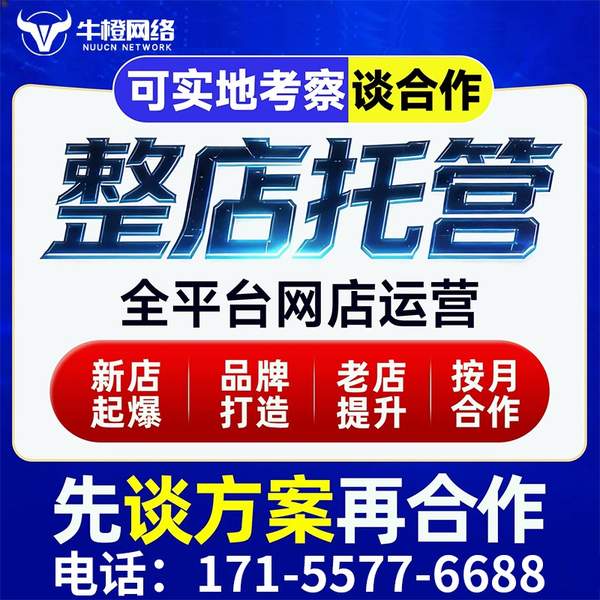 揭阳电商代运营