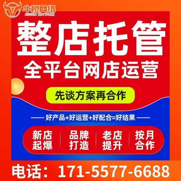 揭阳电商代运营