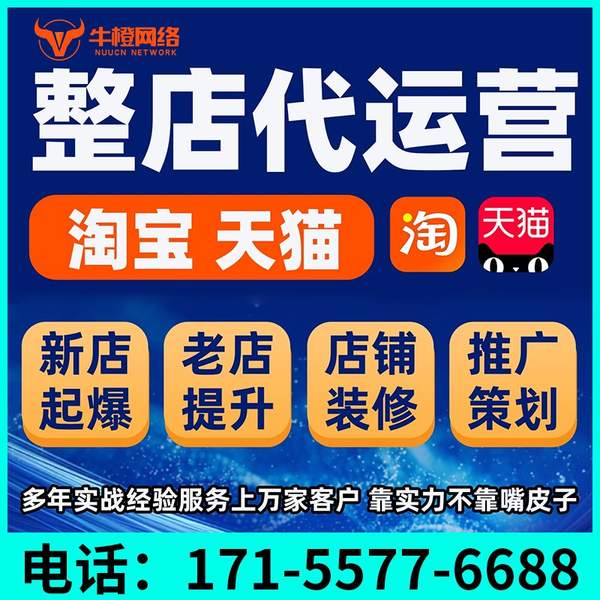 揭阳电商代运营