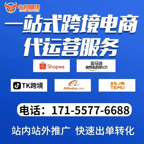 揭阳电商代运营