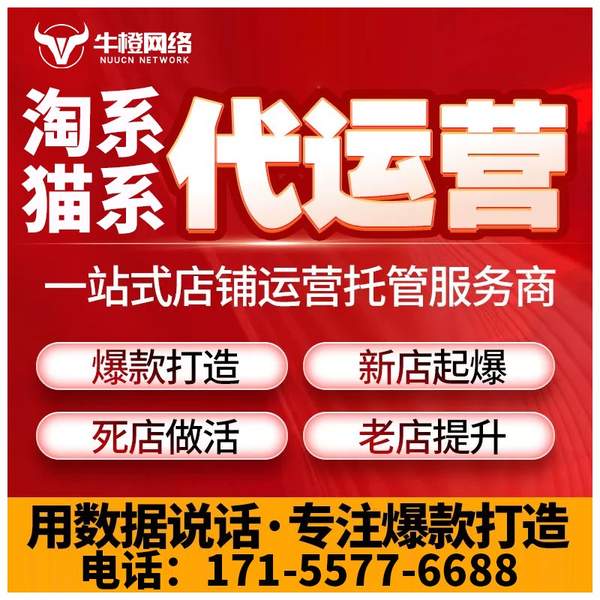 揭阳电商代运营